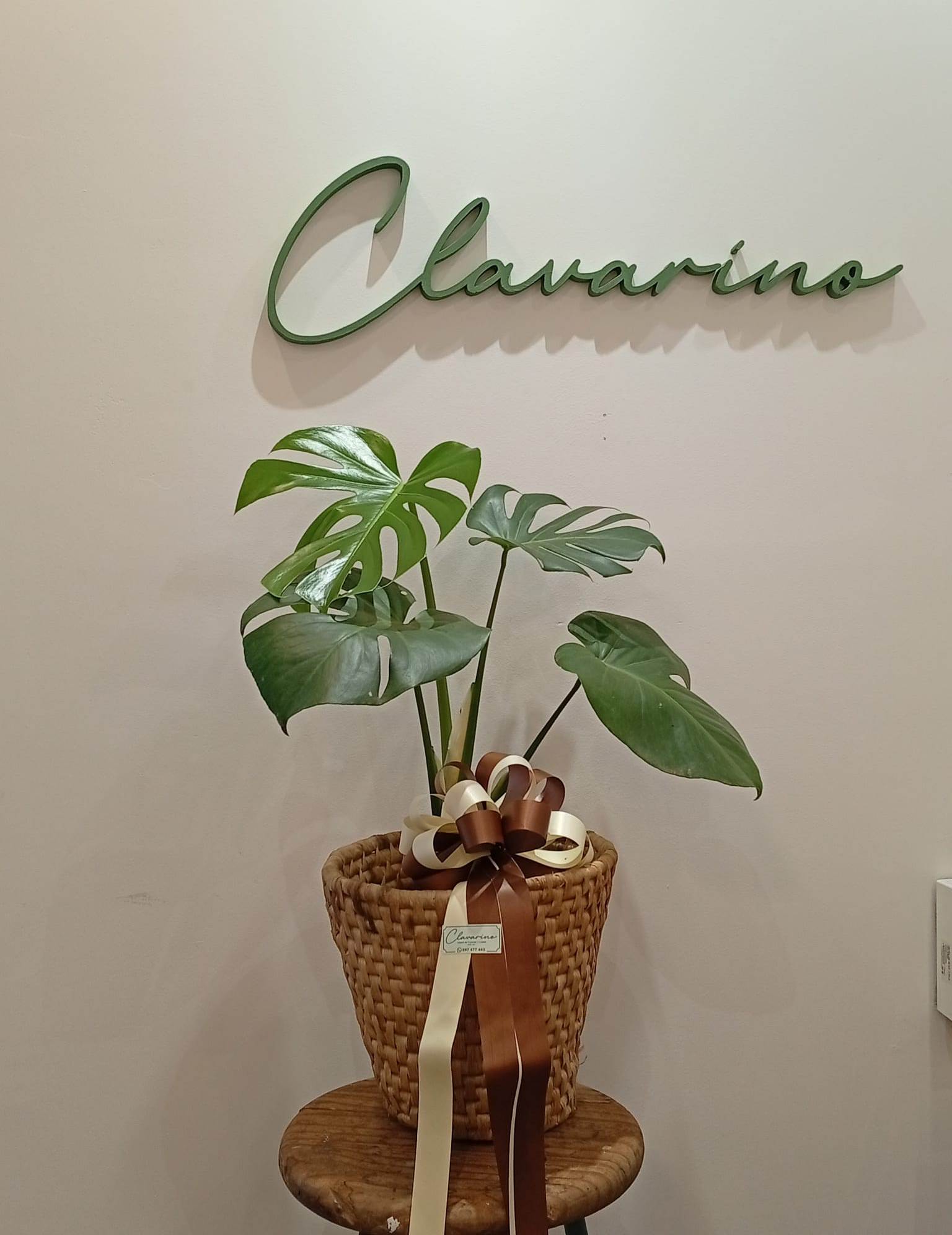 Florería Clavarino