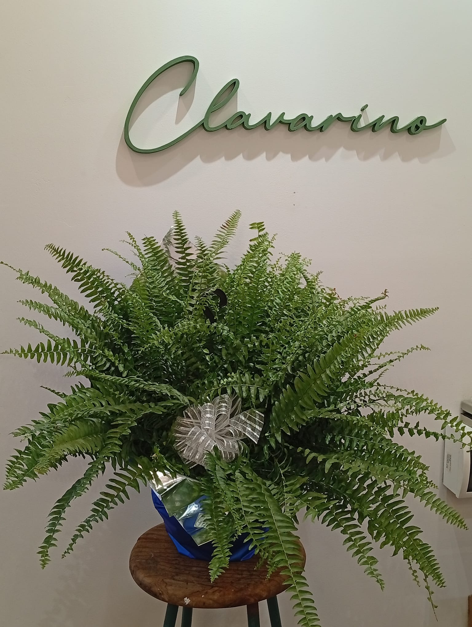 Florería Clavarino