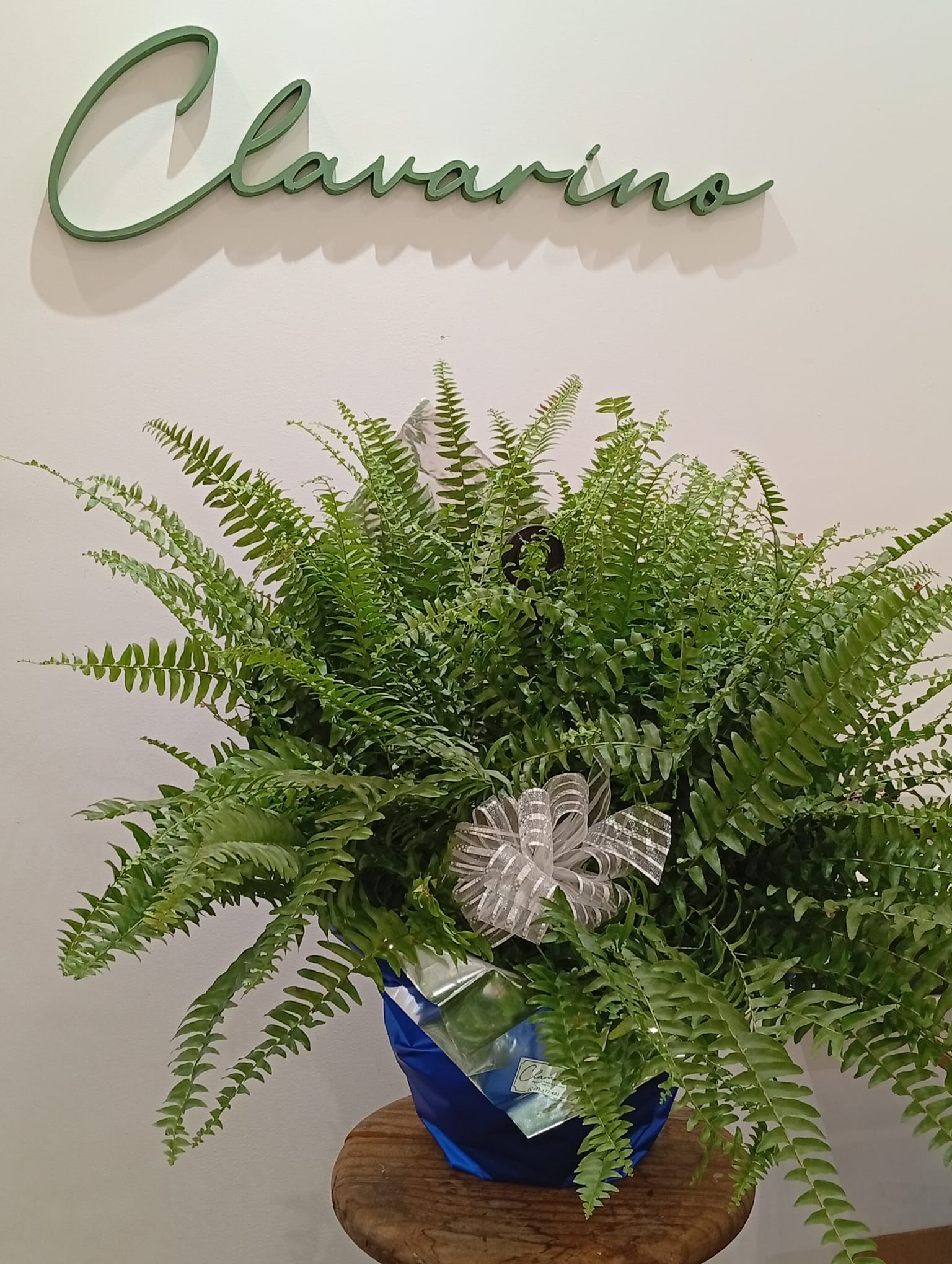 Florería Clavarino